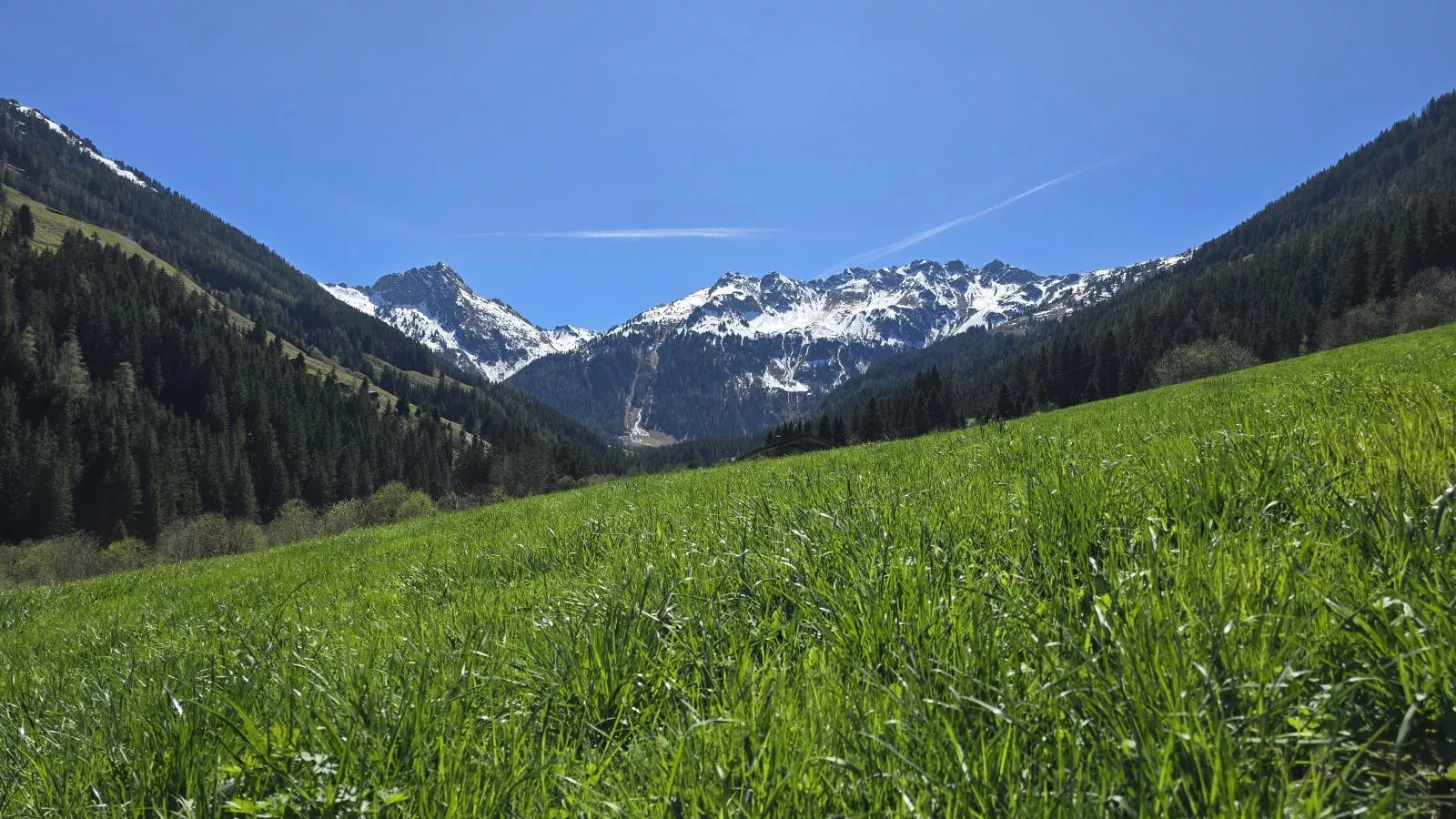 Hacklerhof Top 1 - Uitzicht zomer