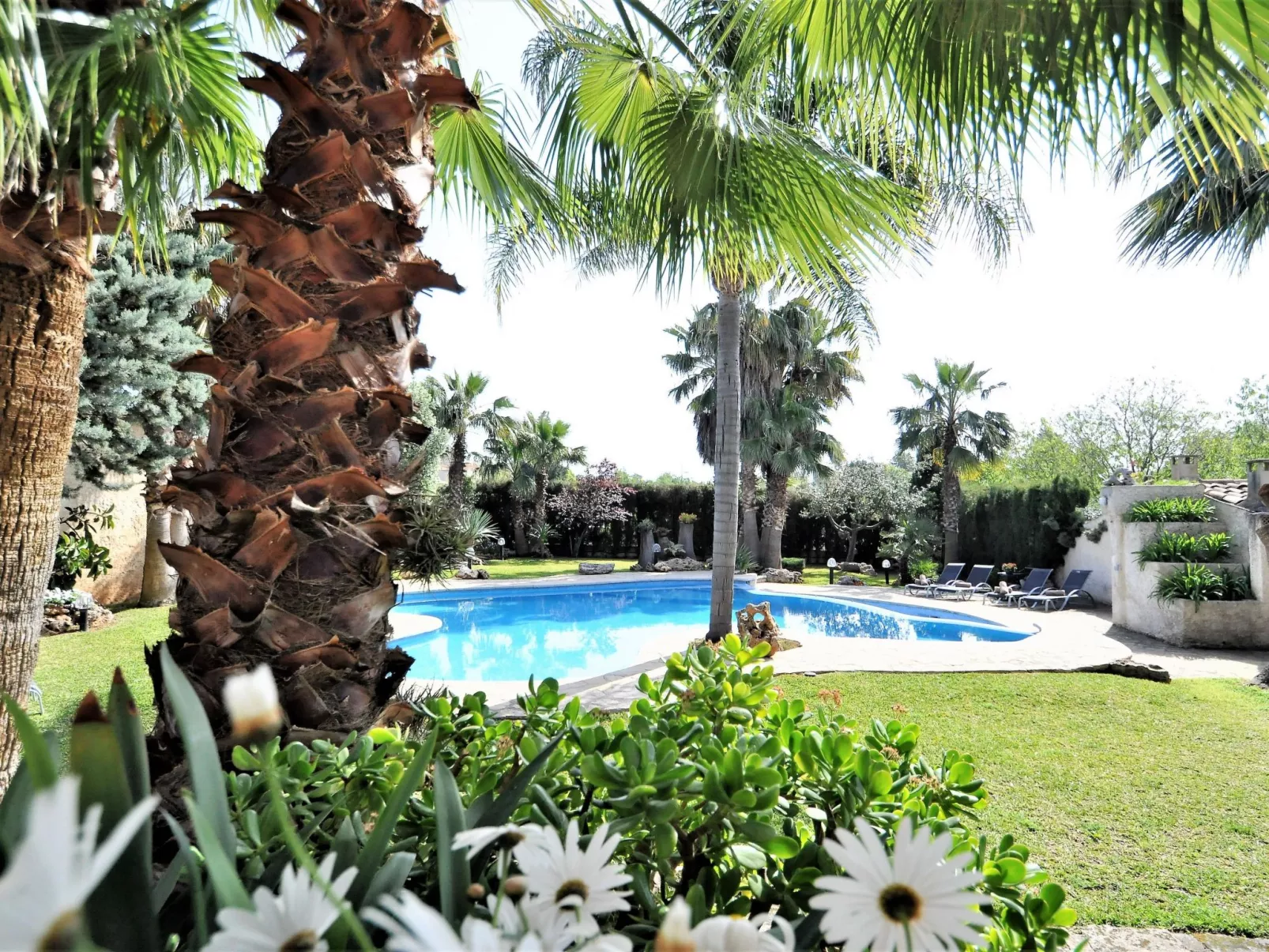 Finca CAN GUAL en Inca para 8 personas con piscina privada y vistas despejadas- - Buiten