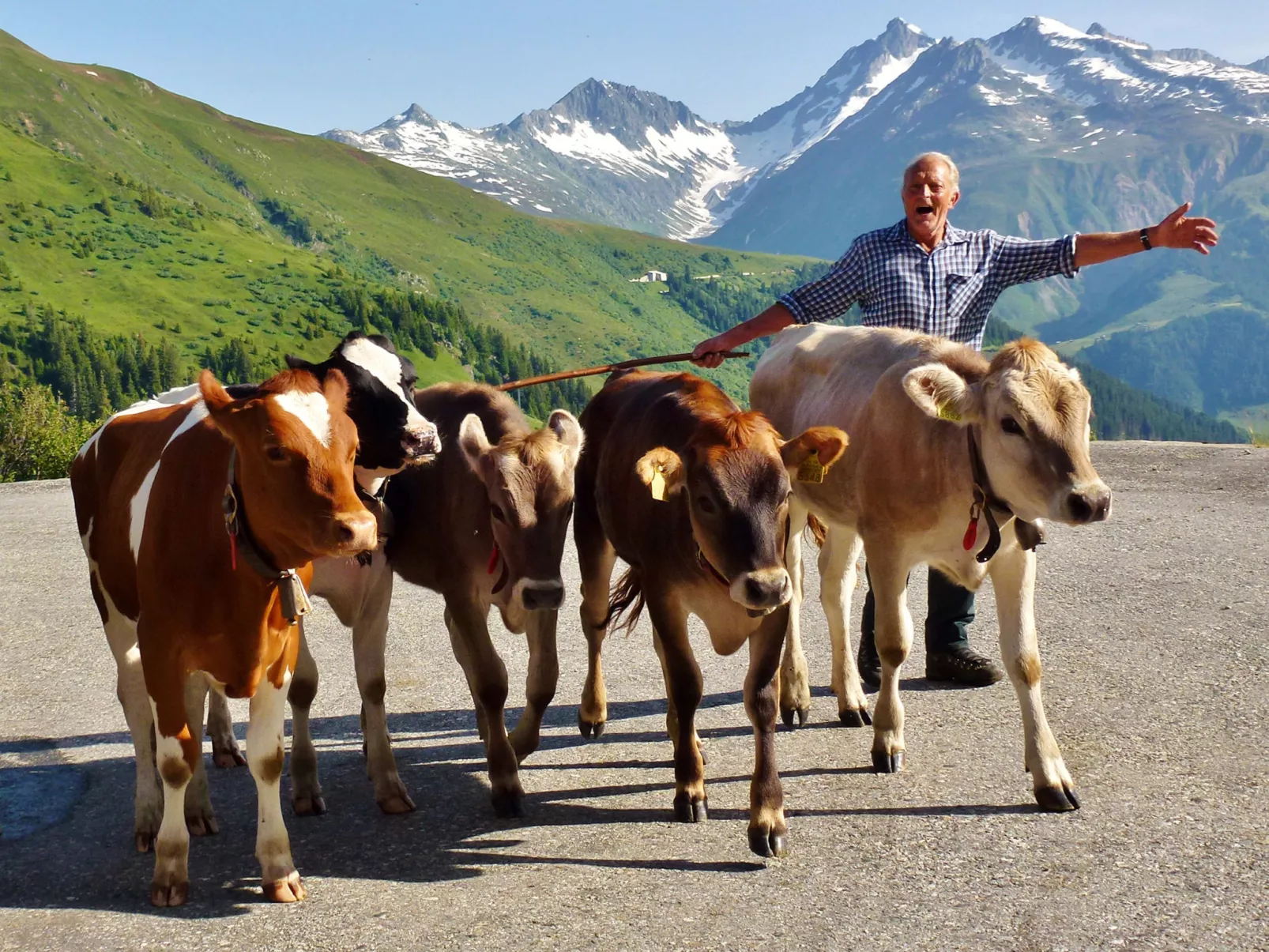 ANSAUNA appartaments, (Segnas/Disentis). - Buiten