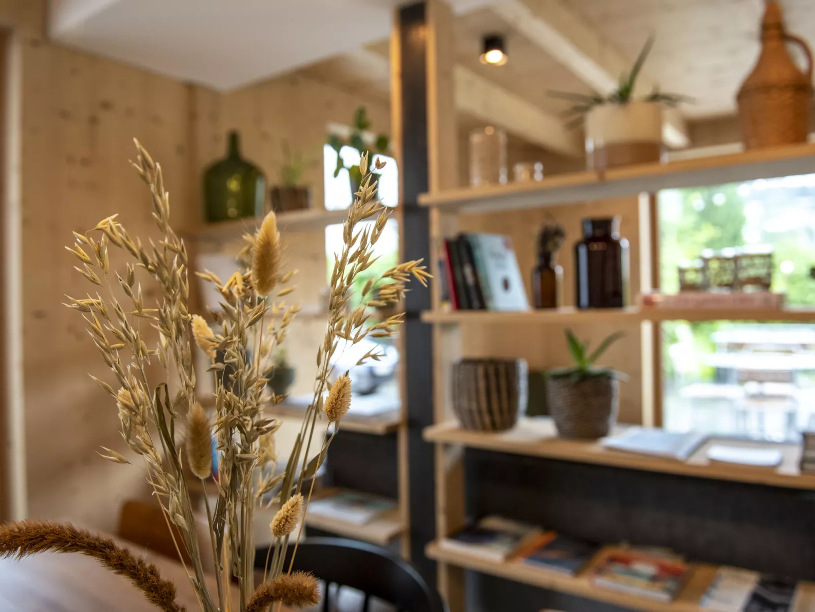Flem Mountain Lodge, (Flims Waldhaus). Moderne neue 4.5 Ferienwohnung - Buiten