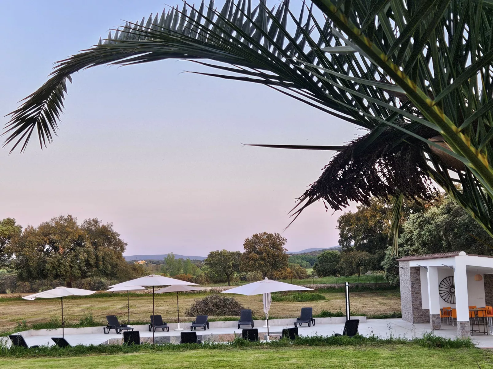 FINCA EL ALAMO - BARCARROTA - Buiten
