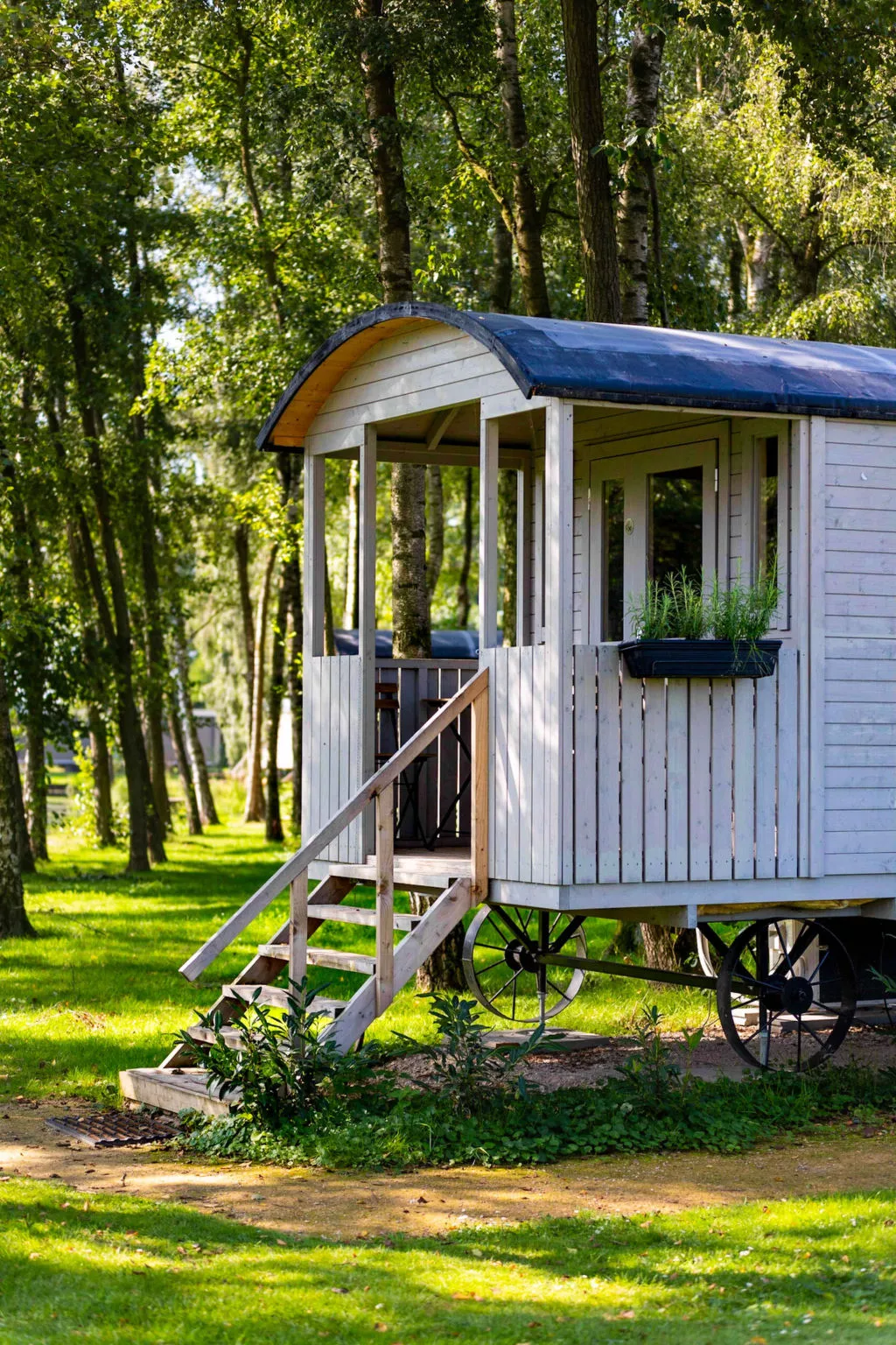 Camping Papillon Kinrooi - Pipowagen 2 p. terras - Buiten