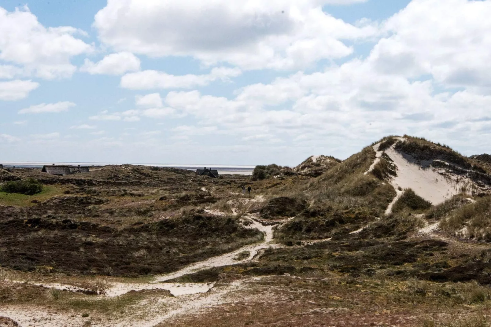 10 persoons vakantie huis in Fanø