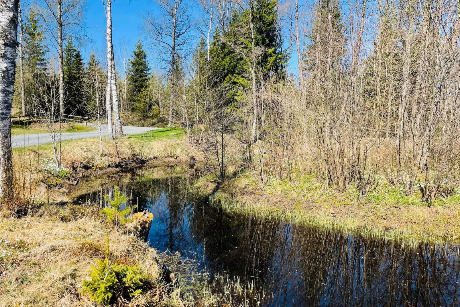 4 sterren vakantie huis in BODAFORS - Buitenlucht