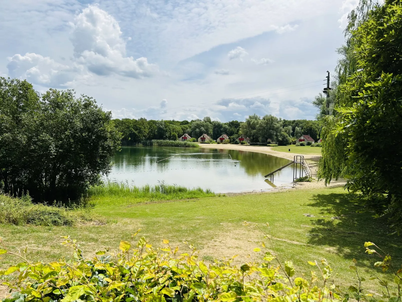 Forest Cottage Ewijk incl. hot tub-Buiten