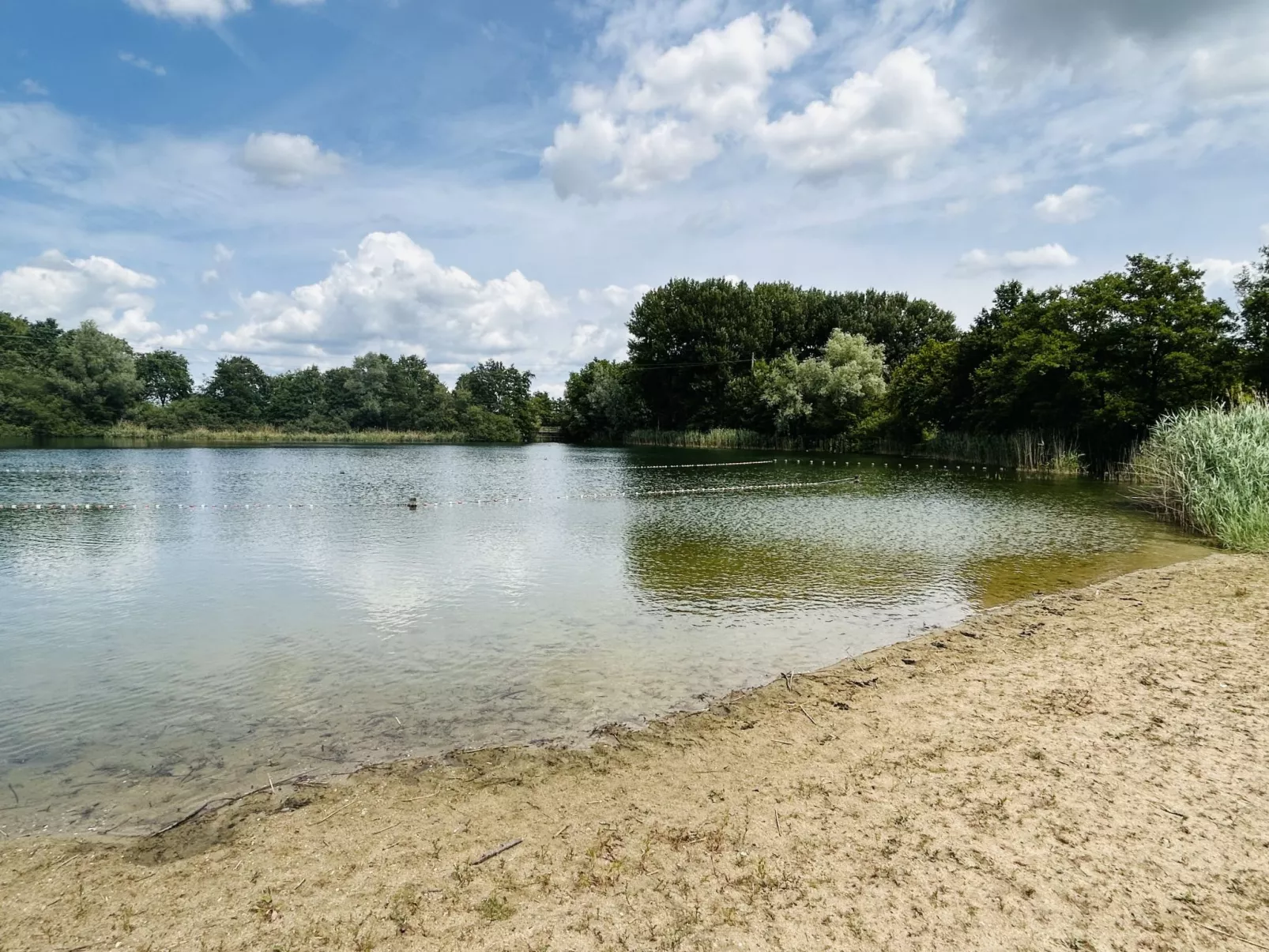 Forest Cottage Ewijk incl. hot tub-Buiten