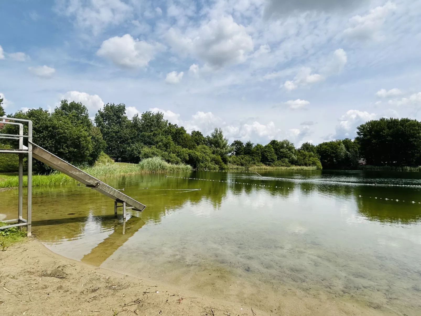 Forest Cottage Ewijk incl. hot tub-Buiten