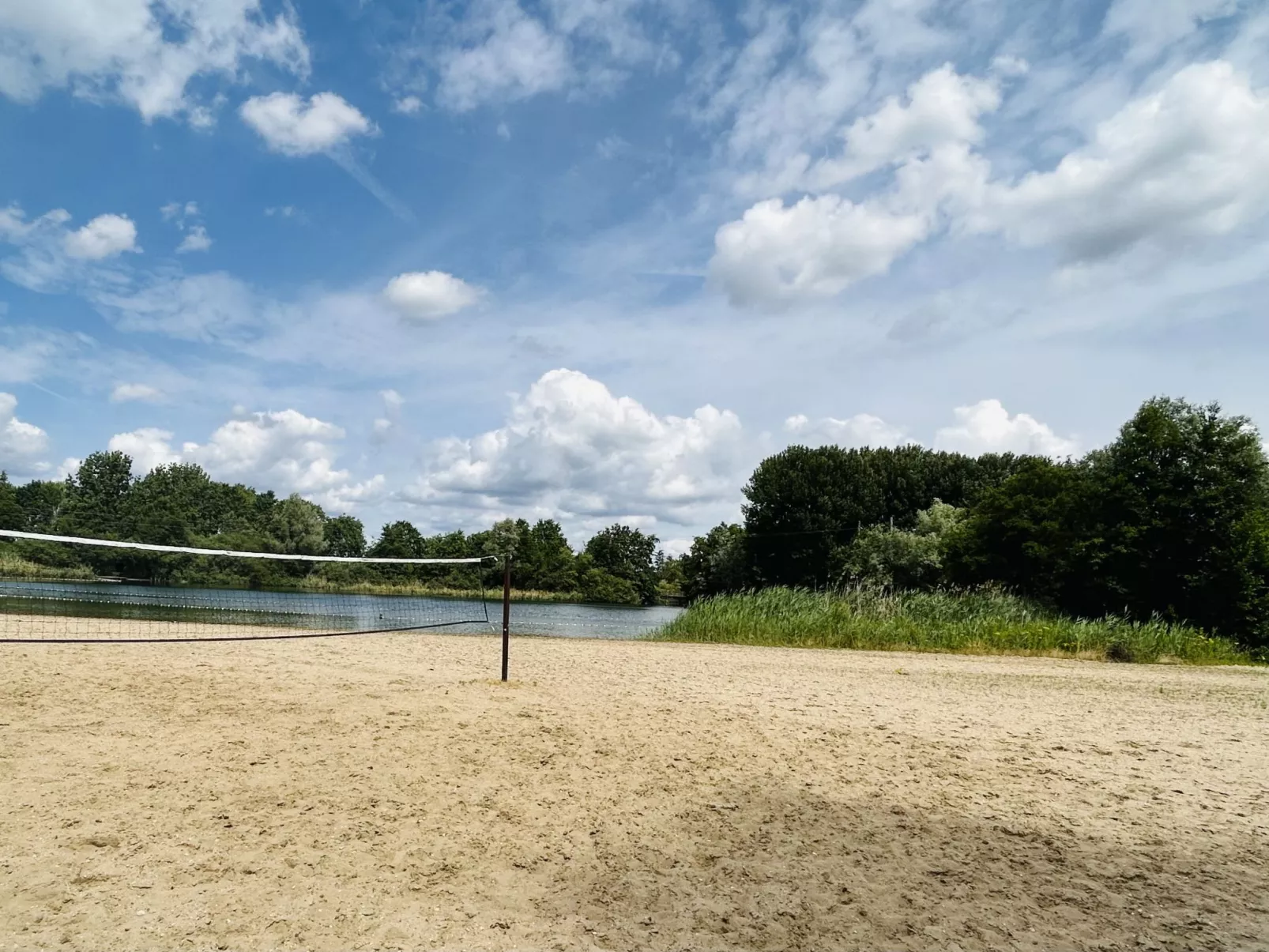 Forest Cottage Ewijk incl. hot tub-Buiten