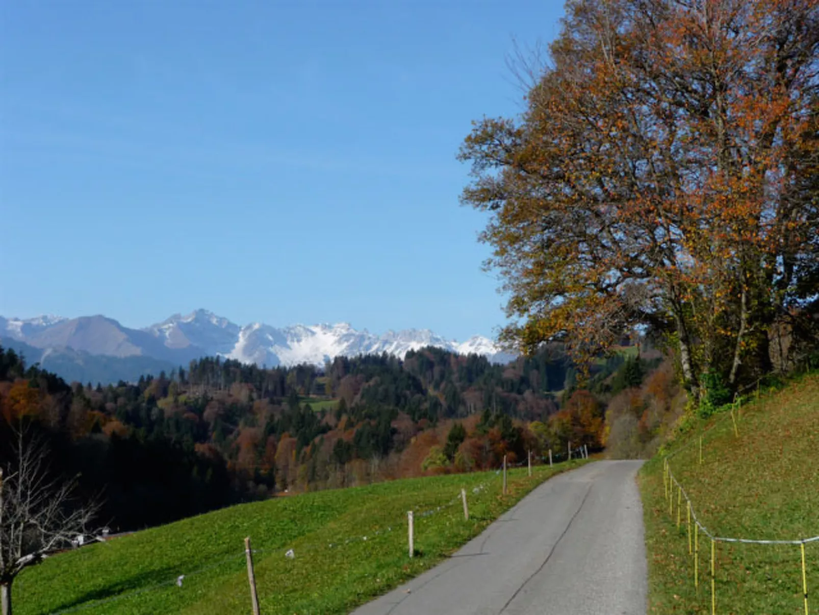 Terlischa, (Seewis Dorf). - Buiten