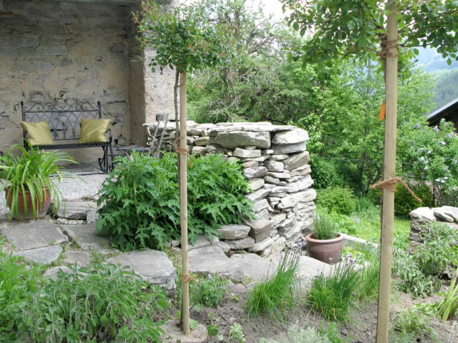 Altes Pfarrhaus, Surcasti, (Surcasti). - Buiten