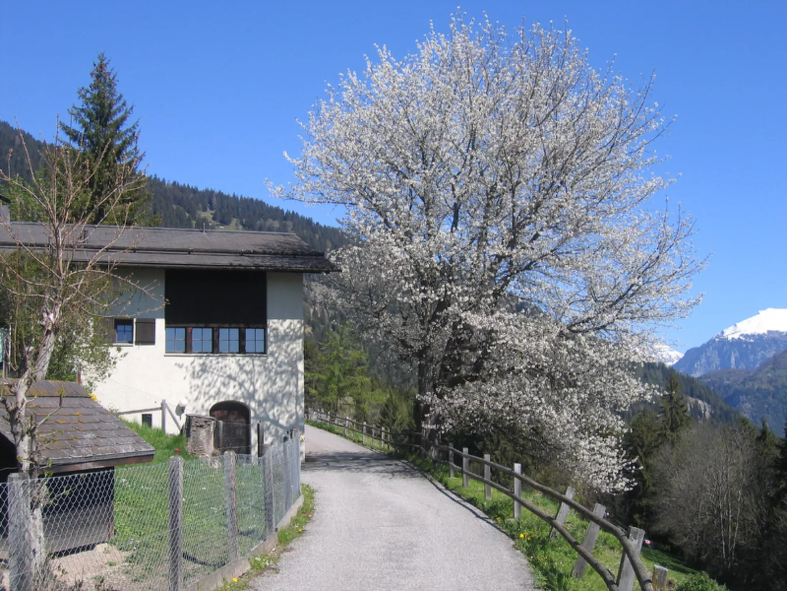 Wohnung Staudenhof, (Präz). - Buiten