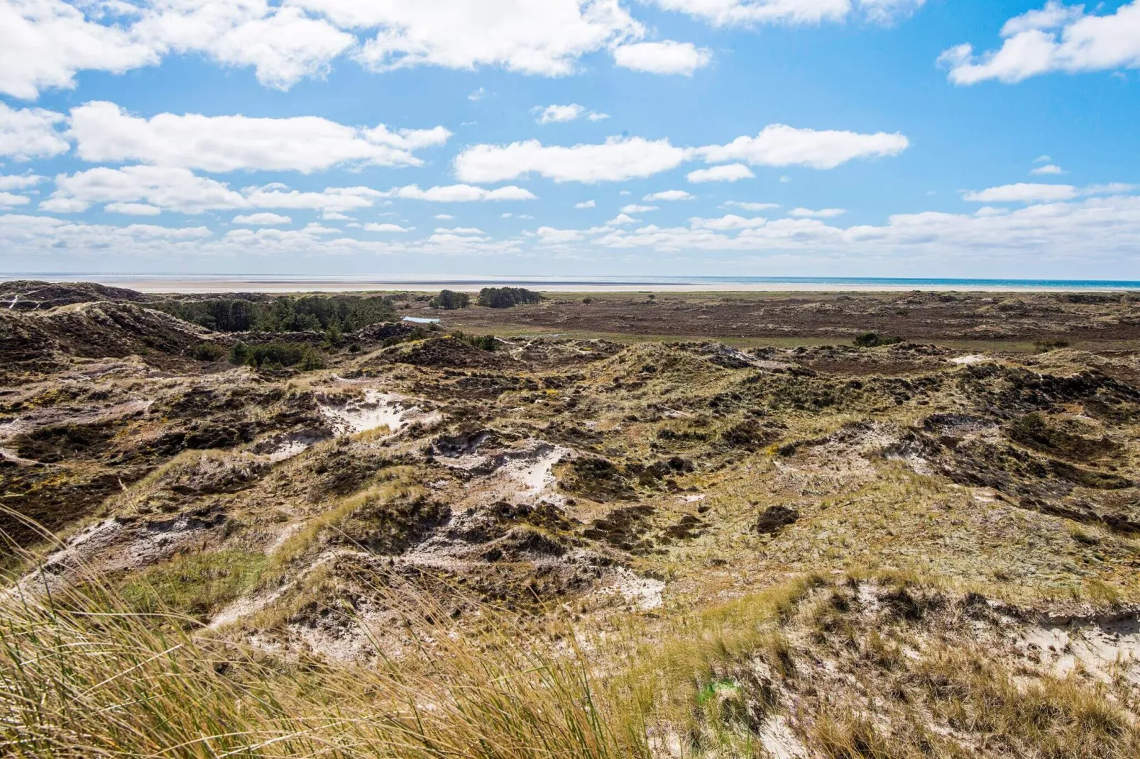 12 persoons vakantie huis in Fanø