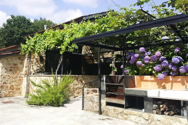 Holiday home Vale de Cambra - Tuinen zomer