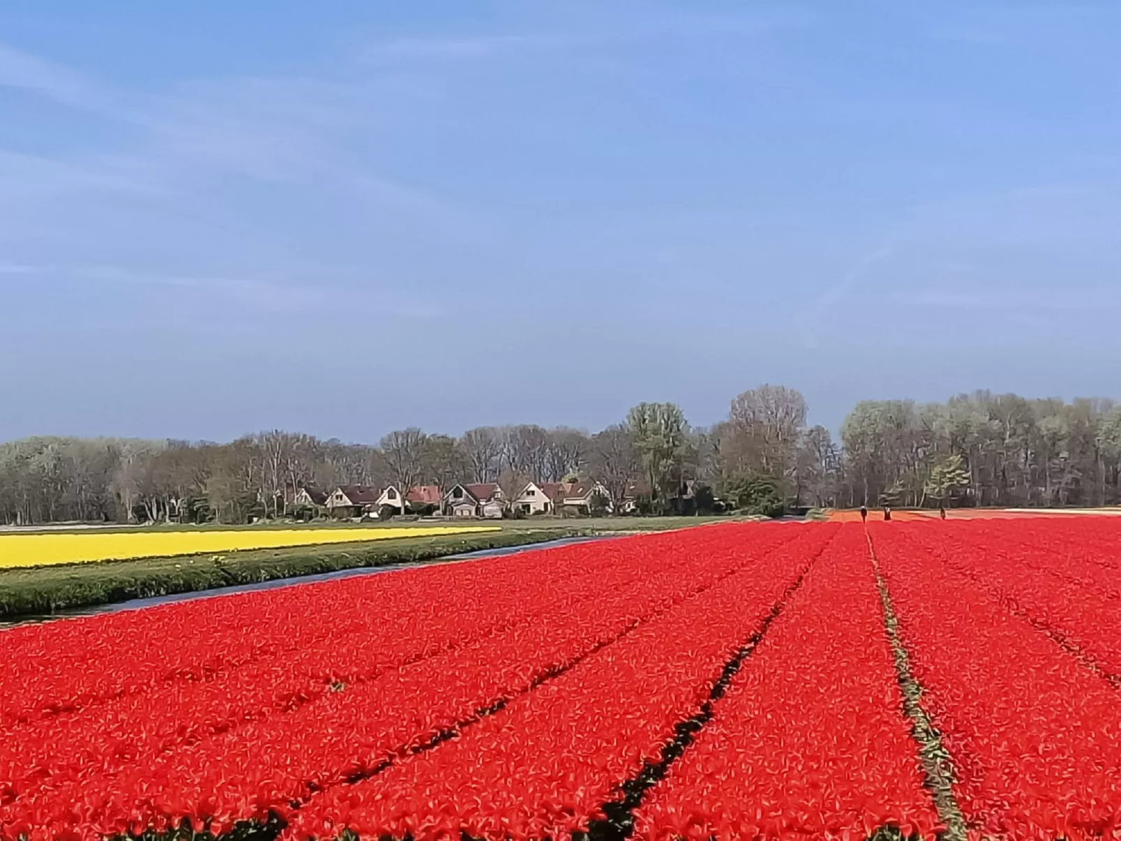 Pieper Luxe-Buiten