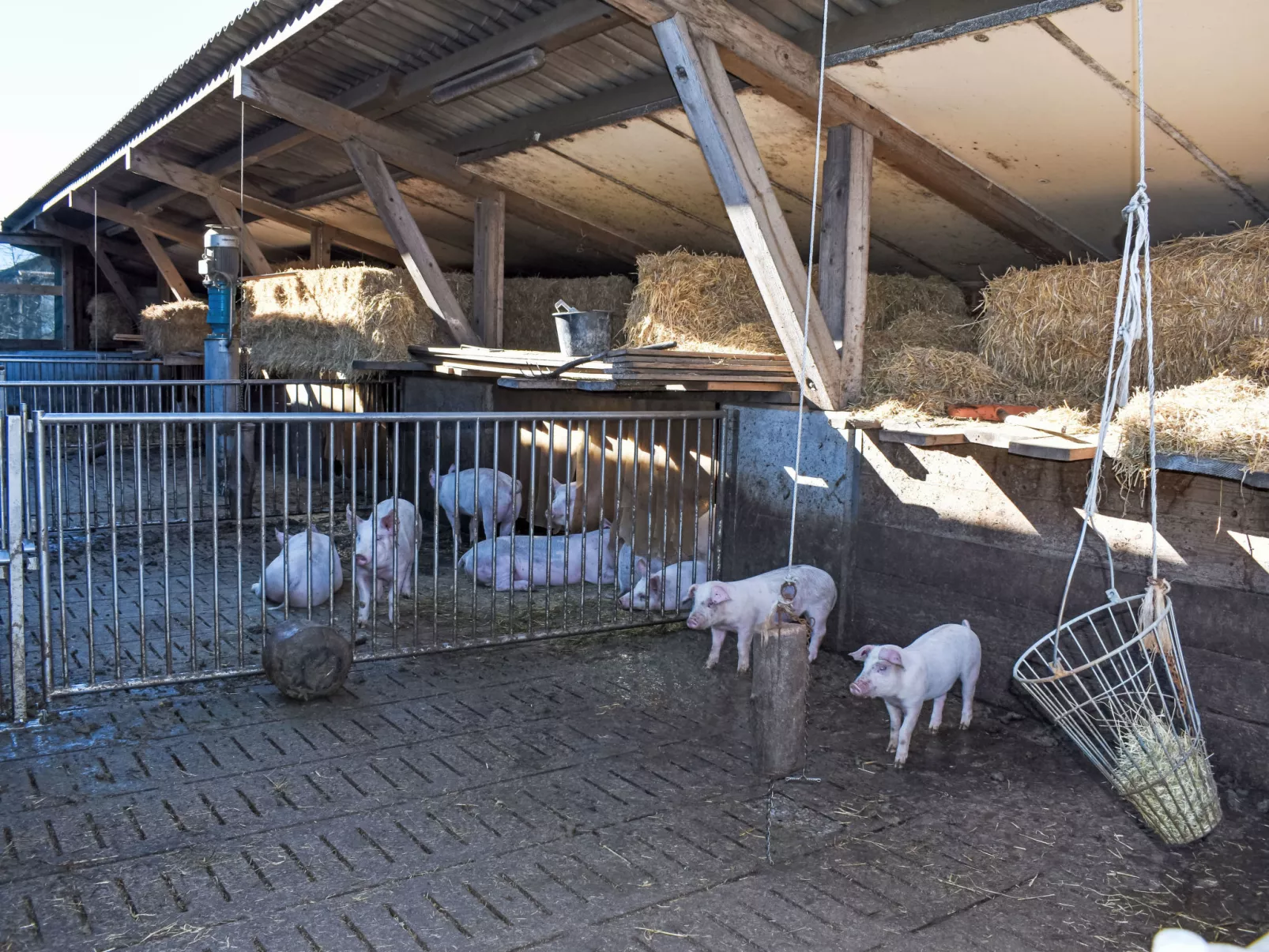 Ferienhof-Barenegg - Buiten