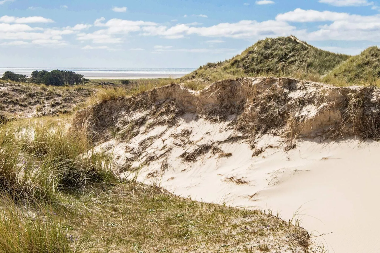 12 persoons vakantie huis in Fanø-Niet-getagd