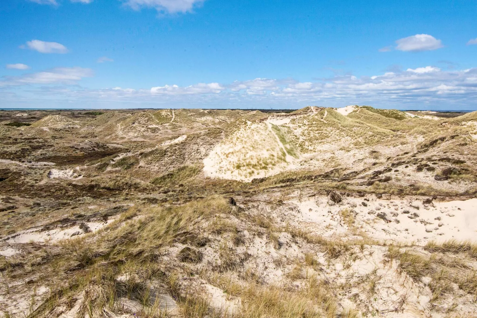 12 persoons vakantie huis in Fanø-Niet-getagd