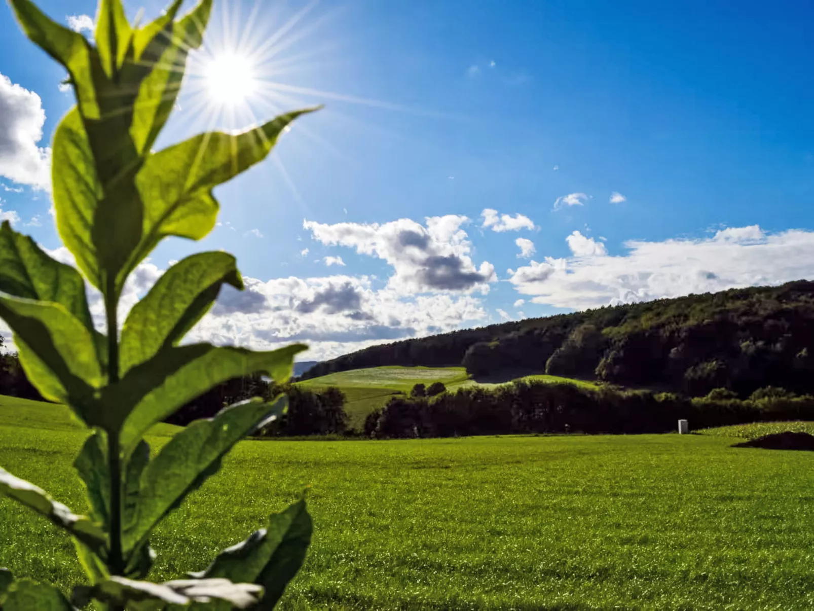 Weitblick - Binnen