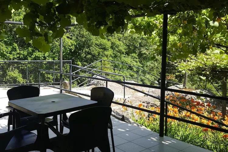 Holiday home Vale de Cambra - Terras