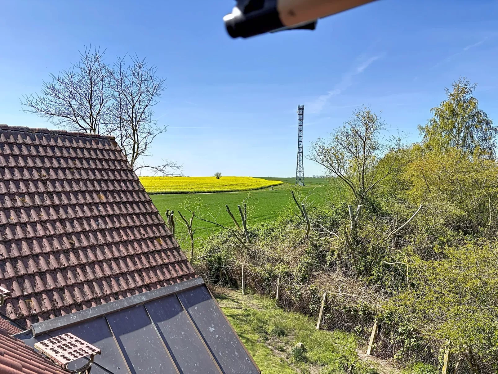 Gollwitzer Park (Insel Poel) - Buiten
