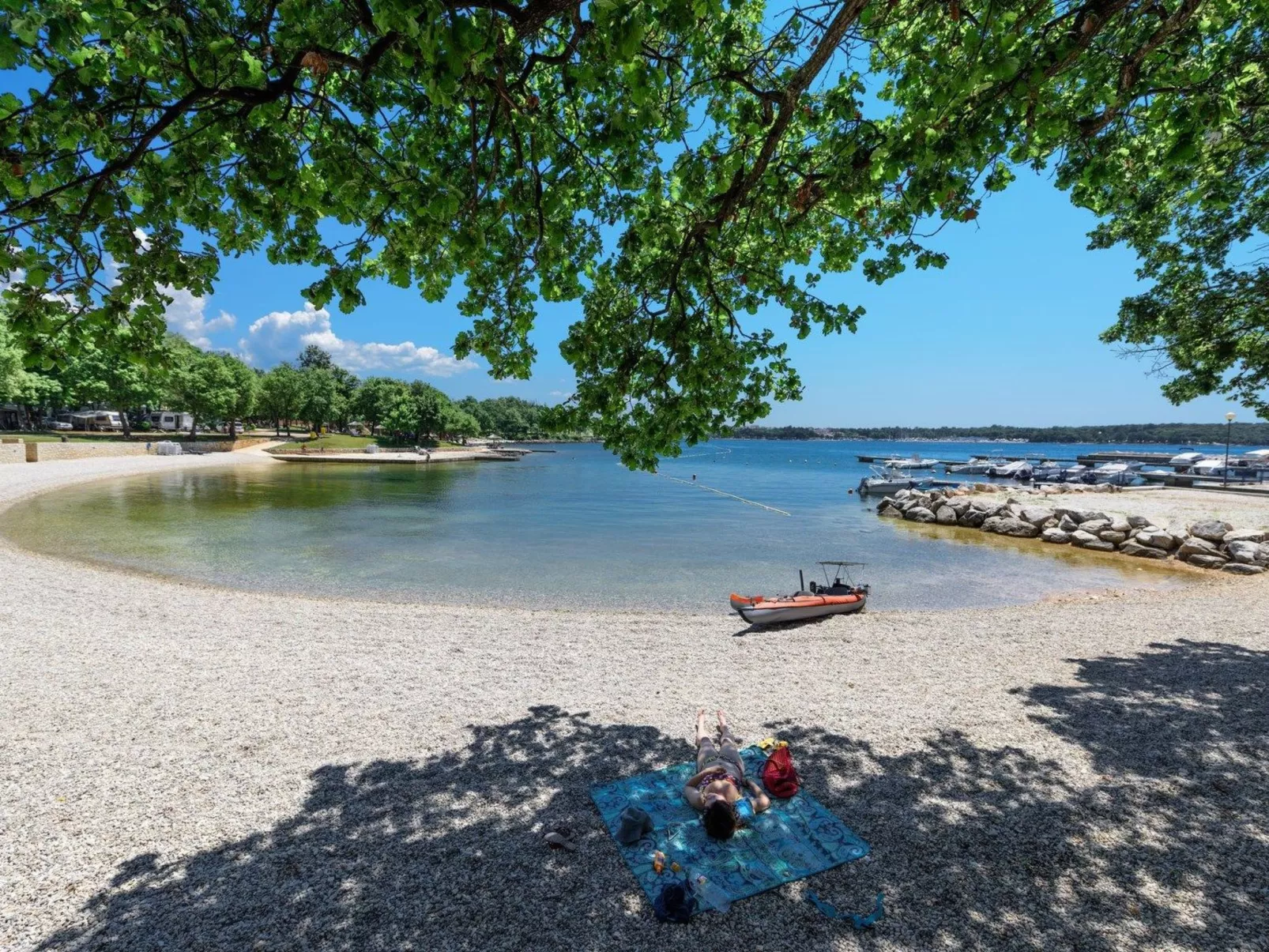 App Coki 1. - Image-tags.info
