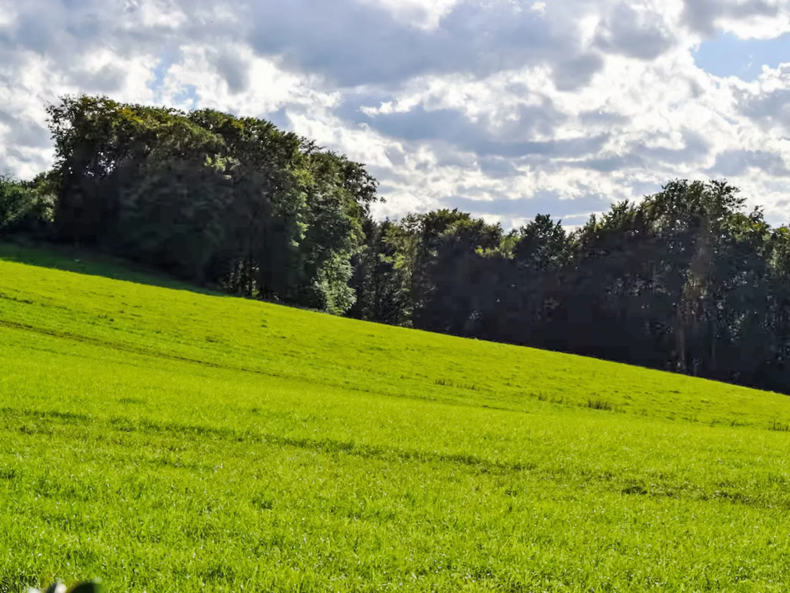 Weitblick - Buiten