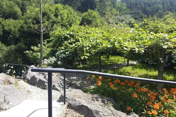 Holiday home Vale de Cambra - Terras