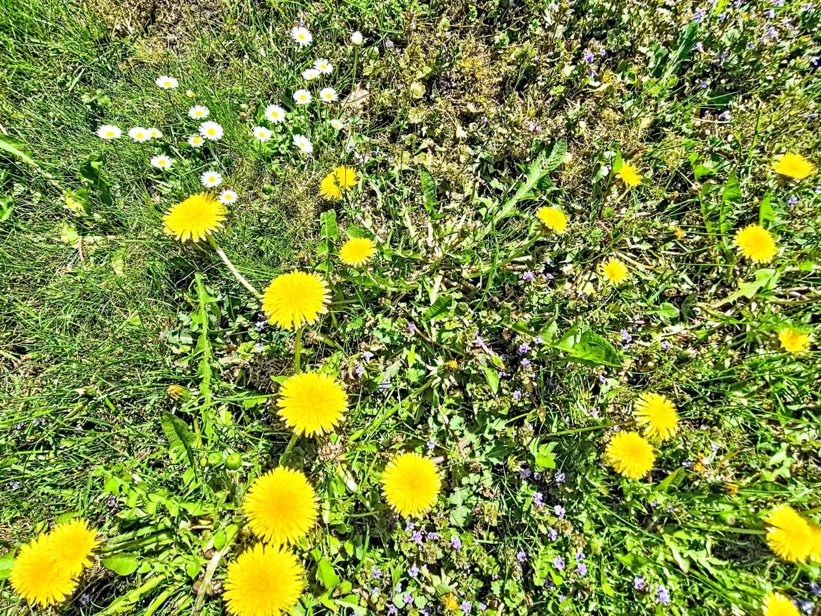 Loidl - Buiten