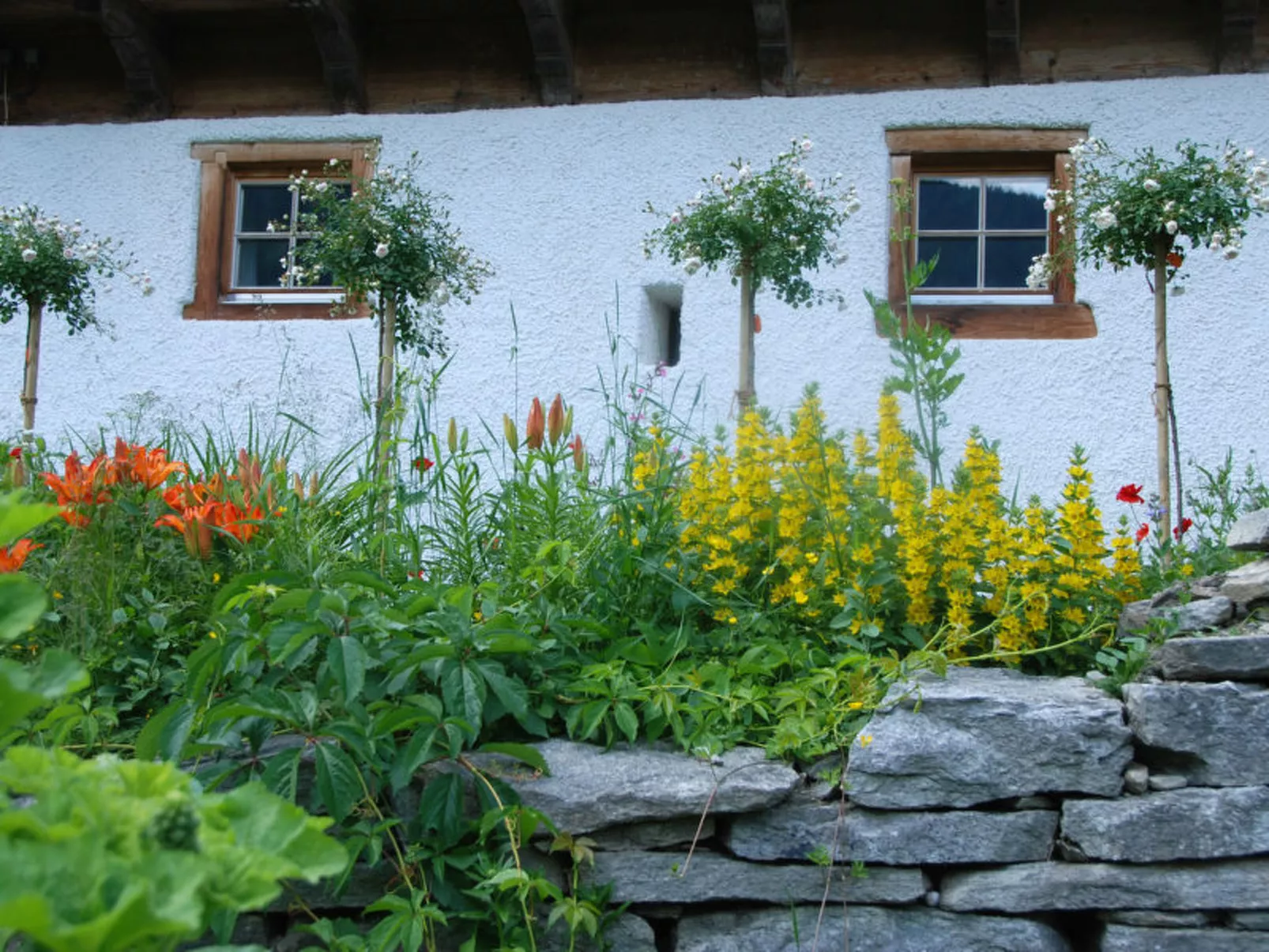 Altes Pfarrhaus, Surcasti, (Surcasti). - Buiten
