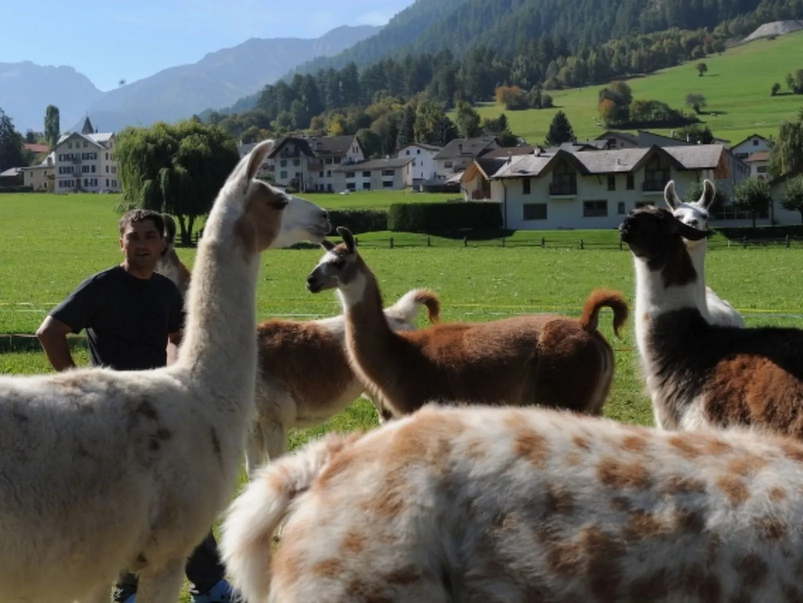 Agrotourismus Bauernhof Puntetta, (Müstair). - Buiten