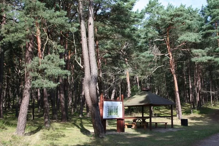 Apartament Malinka dla 4 osób - Gebieden zomer 1km