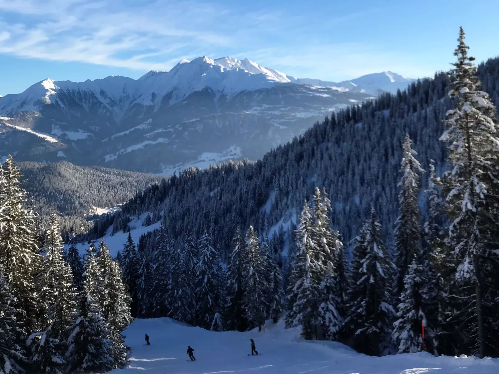 Haus Beta / Meier, (Flims Waldhaus). 3.5 Zimmerwohnung - 48 - Buiten