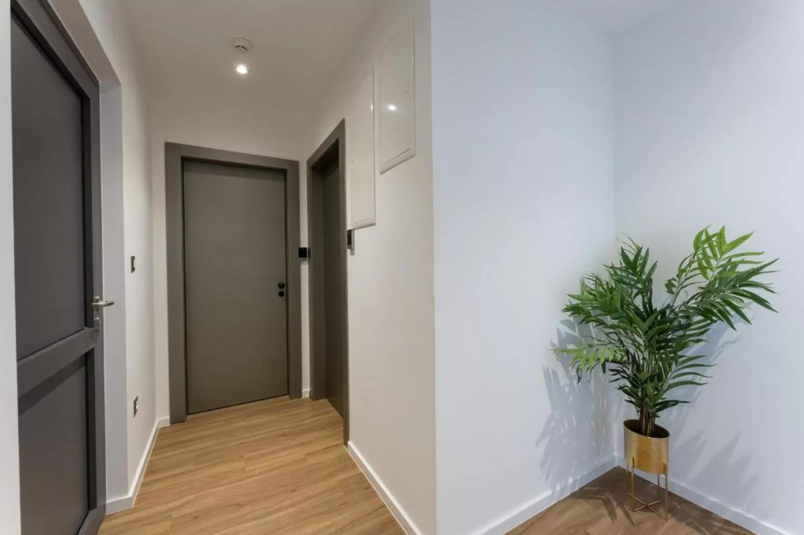 PICTAS Residence - Standard Double or Twin Room with Balcony - Hal-ontvangst