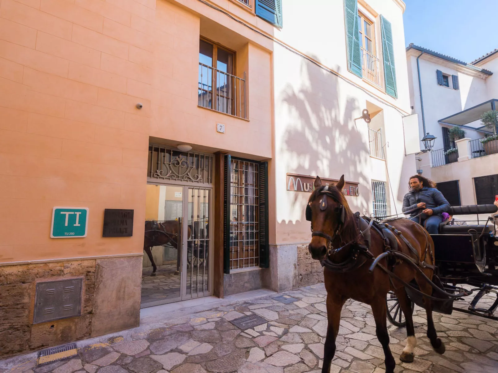 VINTAGE PALMA PALACE (CLASSIC 2) TI/200 - Buiten