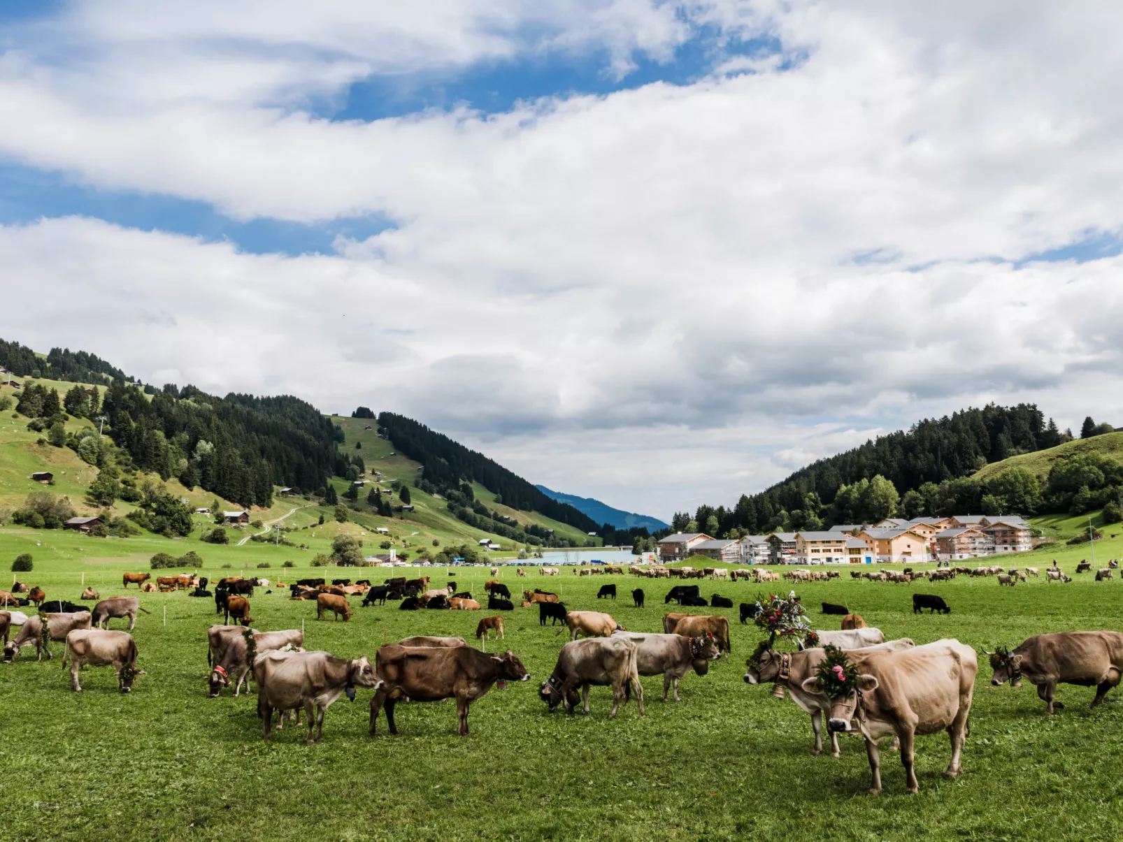 Casa Mulinera, Brigels, (Breil/Brigels). - Omgeving