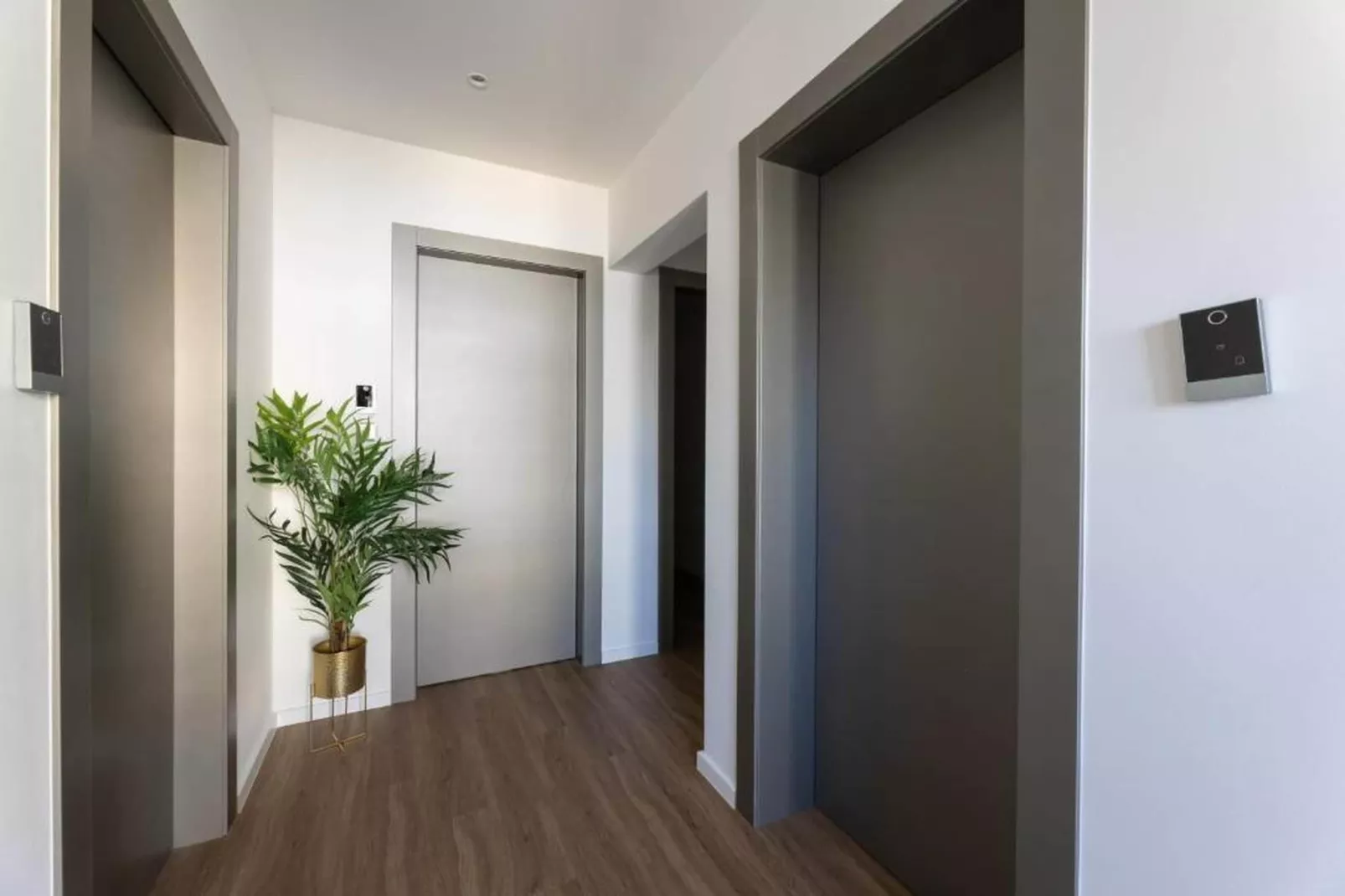 PICTAS Residence - Standard Double or Twin Room with Balcony - Hal-ontvangst