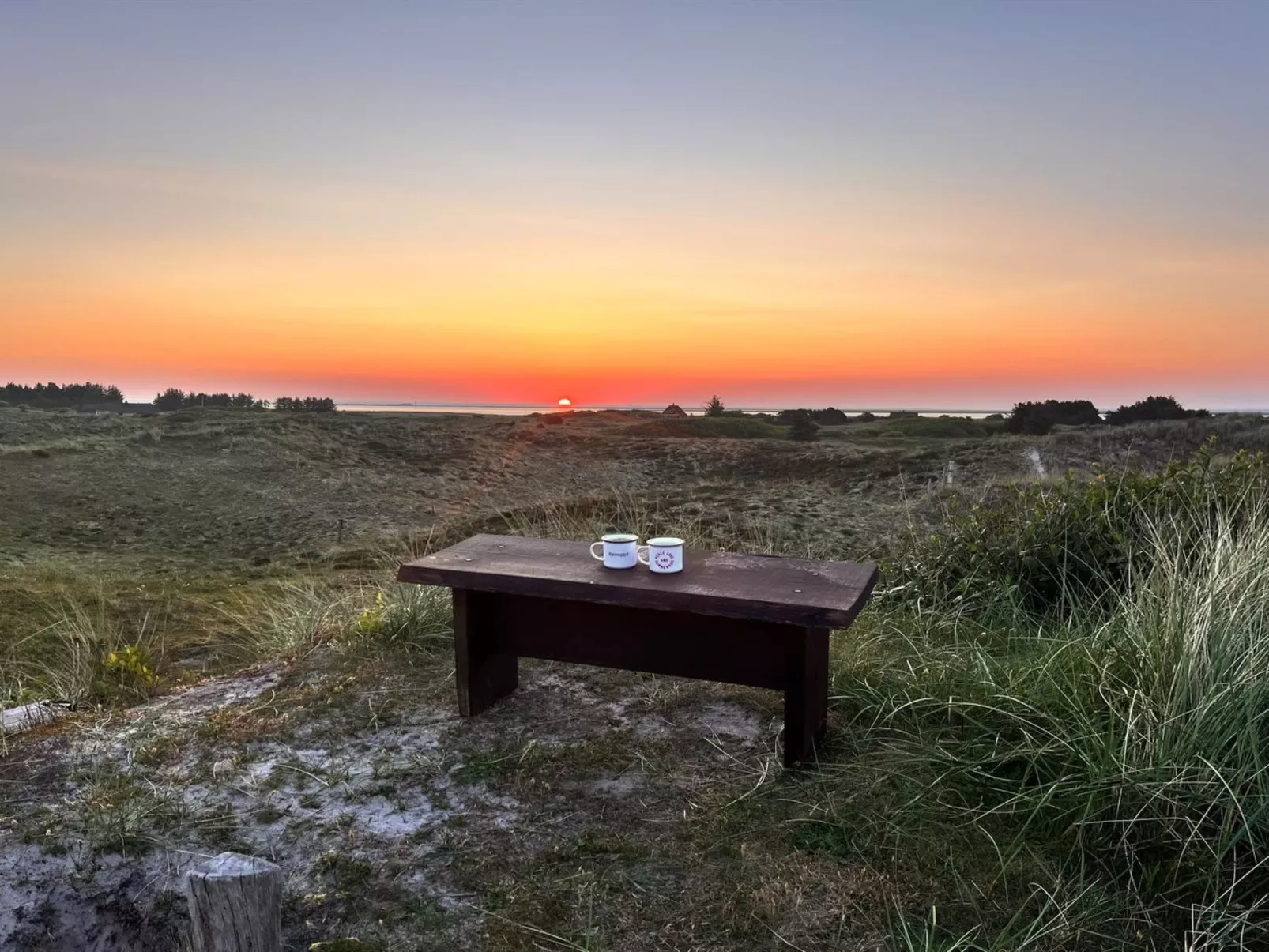 "Aurore" - 700m from the sea - Buiten