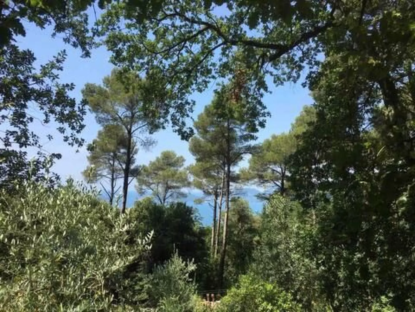 Mago in Ameglia - Buiten