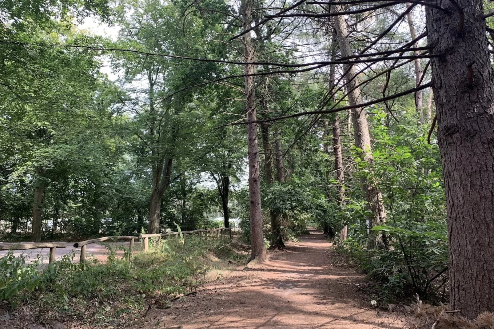 Caravan Bosrand Lembeke 2 - Gebieden zomer 1km
