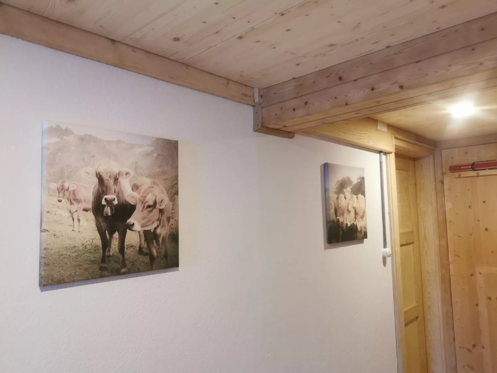 ANSAUNA appartaments, (Segnas/Disentis). - Binnen