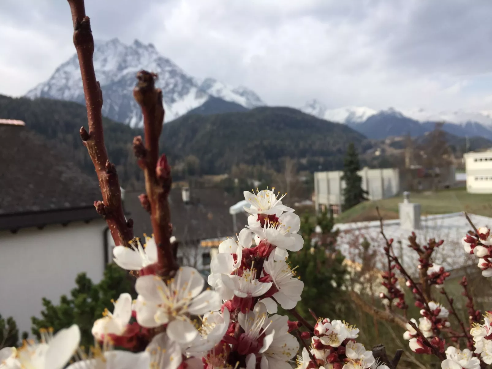 Chasa Bazzi, (Scuol). - Buiten