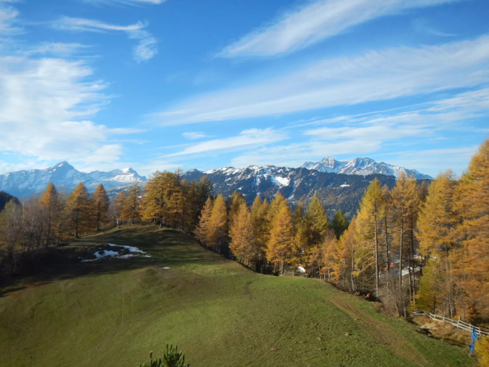 Chalet Lieuretta da Tscharfs, (Feldis). - Buiten