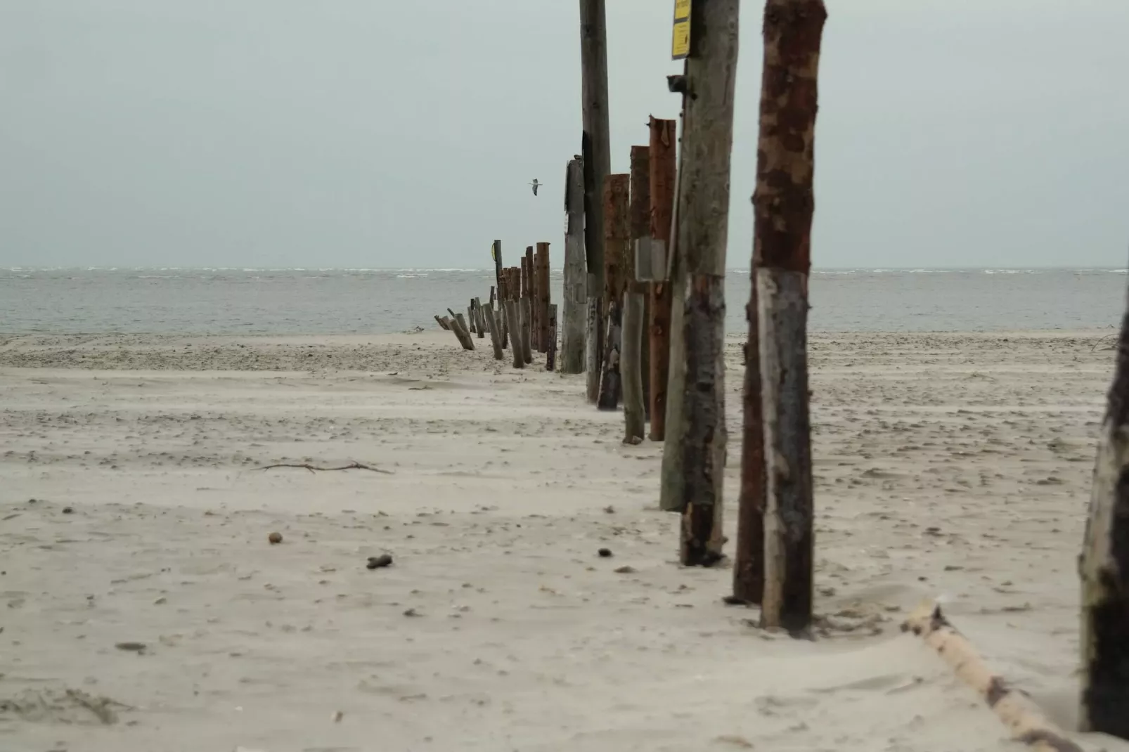 4 persoons vakantie huis in Blåvand - Niet-getagd