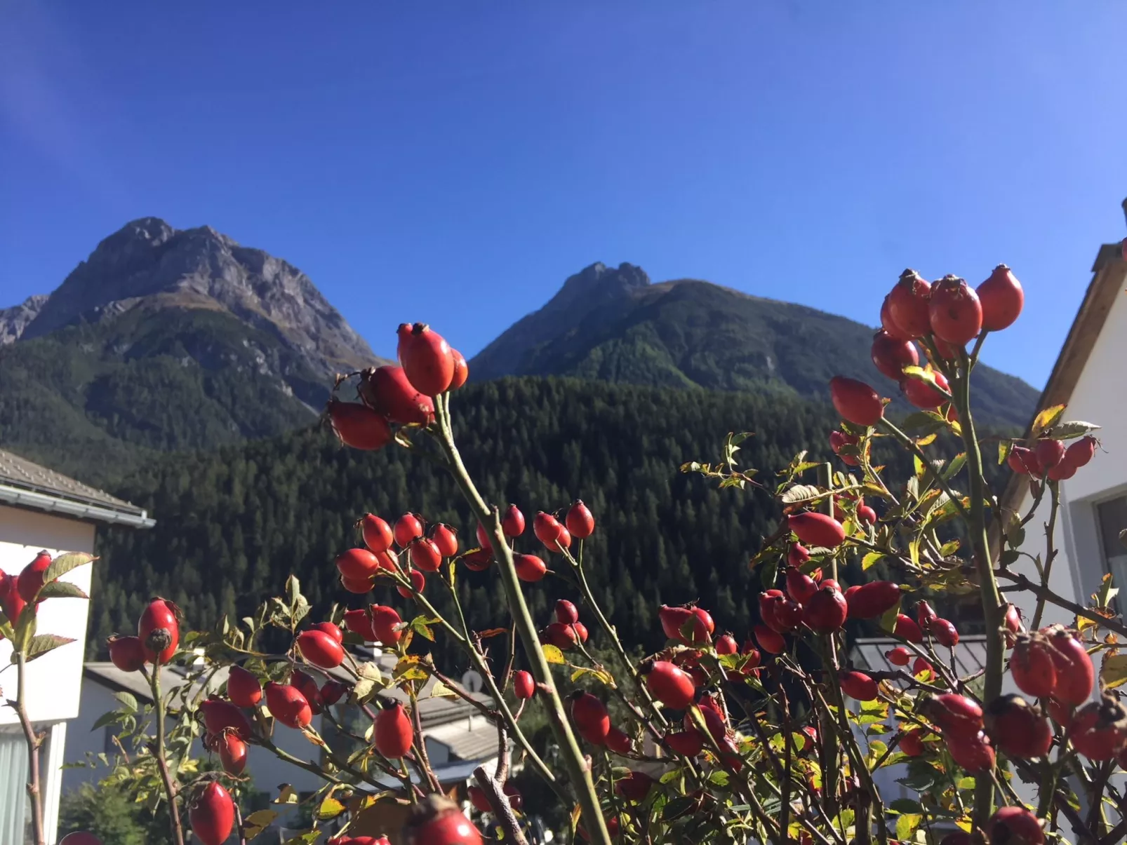 Chasa Bazzi, (Scuol). - Buiten