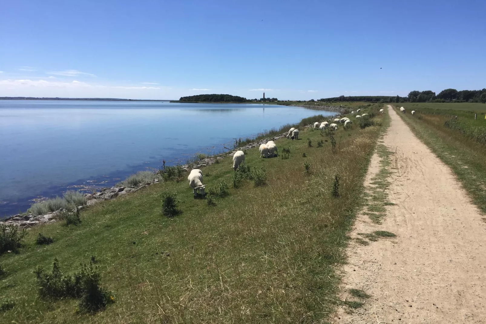 Ferienwohnung P2 - Am Meer - Gebieden zomer 20km