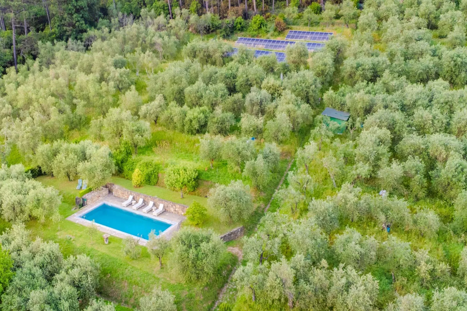 Citrus Charm Farmhouse - Zwembad