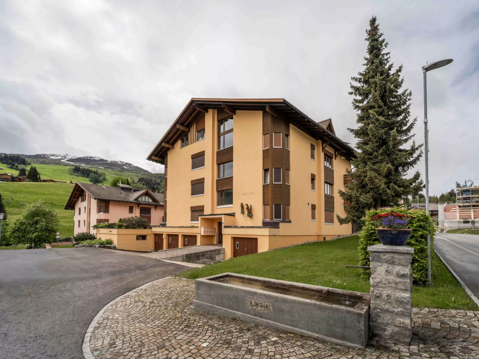 Arnika Attika, Obersaxen Affeier, (Obersaxen Affeier). - Buiten