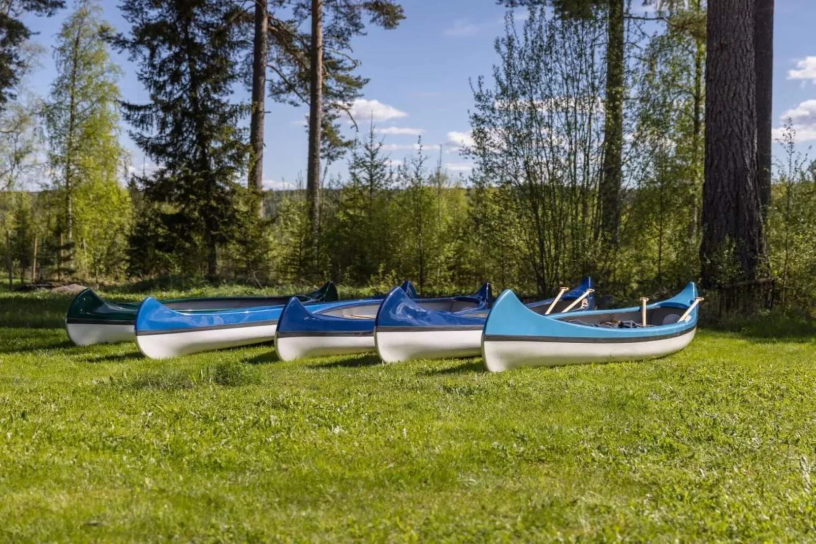 4 sterren vakantie huis in SKATTUNGBYN ORSA - Binnen