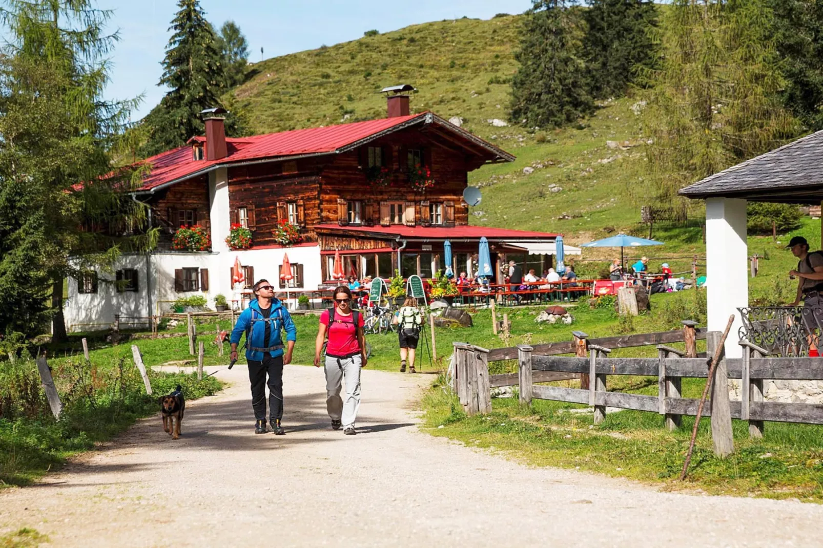 Ferienhaus Fankhaus - Gebieden zomer 1km