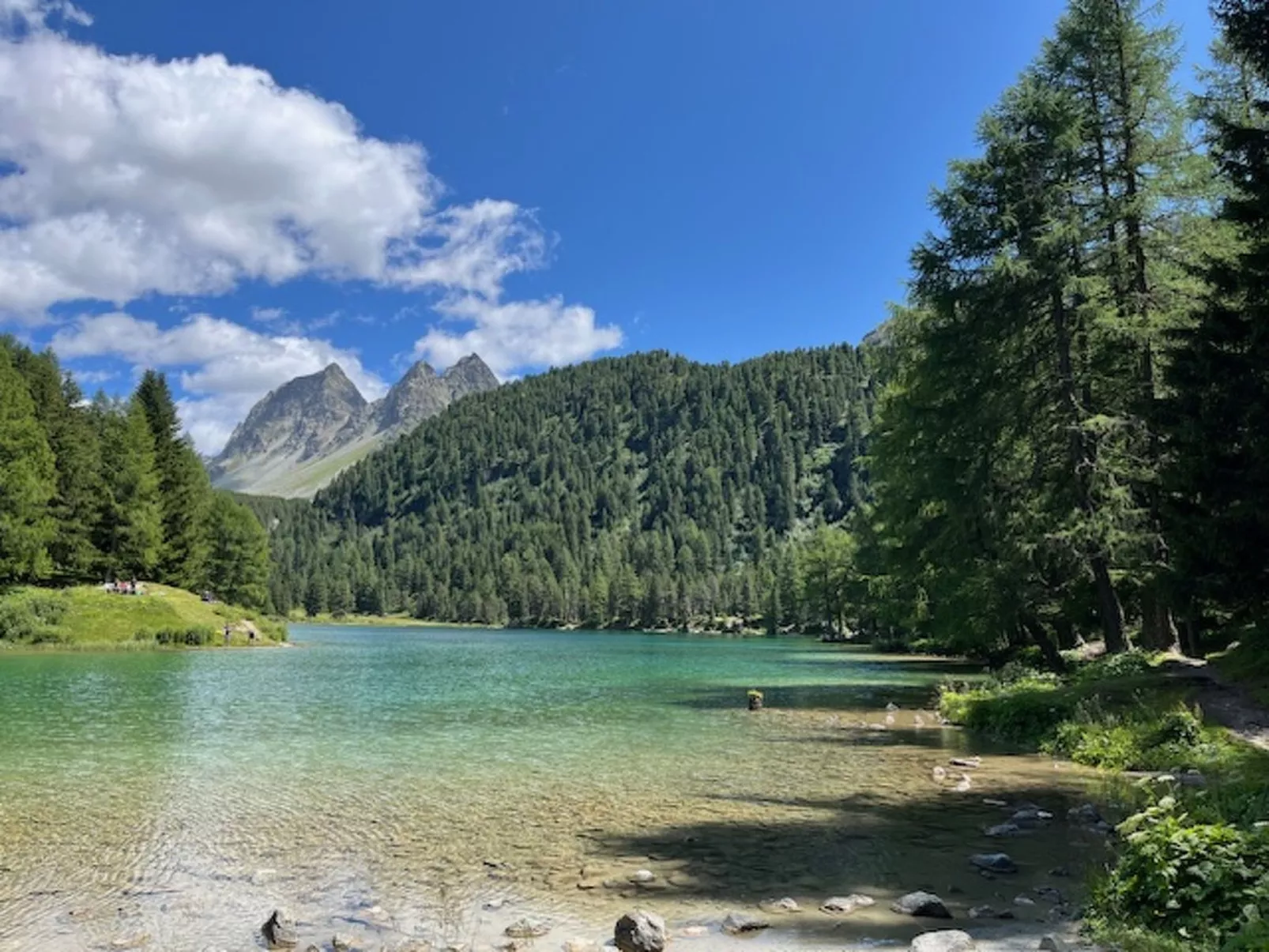 Albula B Chasa Nana, (Bergün/Bravuogn). - Buiten